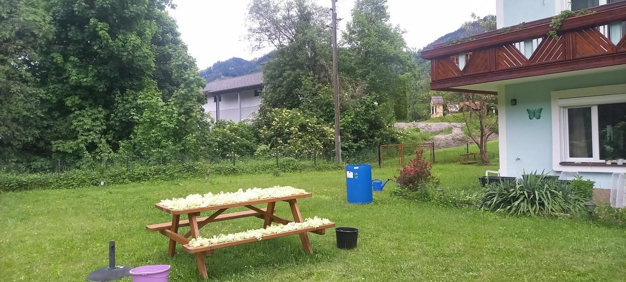 Alie Gusta Apartment Hermagor-Pressegger See Exterior foto
